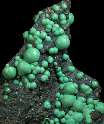 Malachite on Tenorite from Morenci Mine, Clifton District, Greenlee County, Arizona