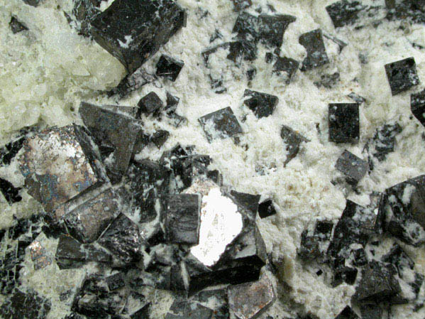 Magnetite (rare cubic crystal form) from ZCA Mine No. 4, Fowler Ore Body, 2500' Level, Balmat, St. Lawrence County, New York