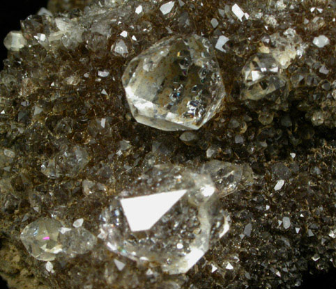 Quartz var. Herkimer Diamonds from Diamond Acres (Hastings Farm), Fonda, Montgomery County, New York