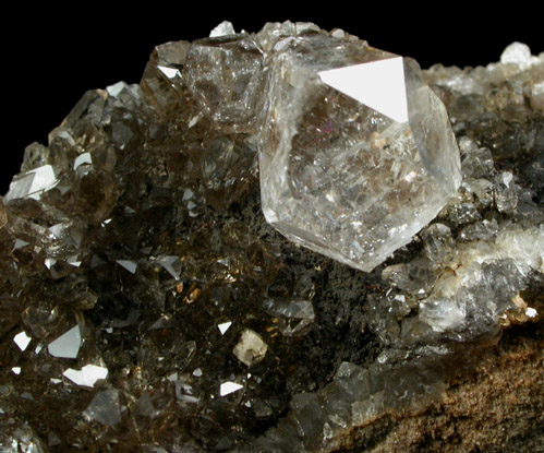 Quartz var. Herkimer Diamonds from Diamond Acres (Hastings Farm), Fonda, Montgomery County, New York