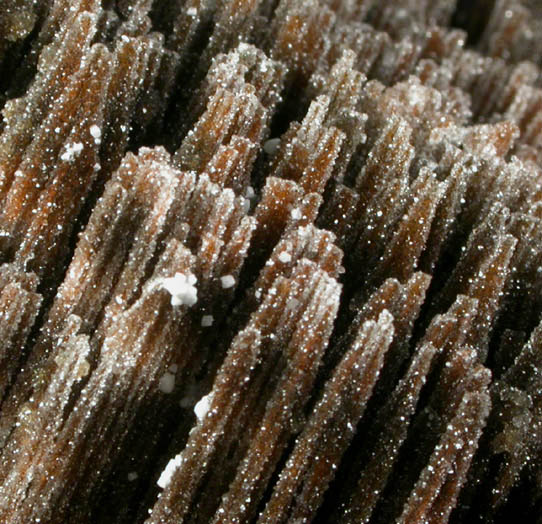 Quartz over stalactitic Limonite from Rhode Island