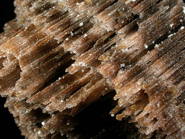 Quartz over stalactitic Limonite from Rhode Island