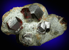 Almandine Garnet from tztal, Tyrol, Austria