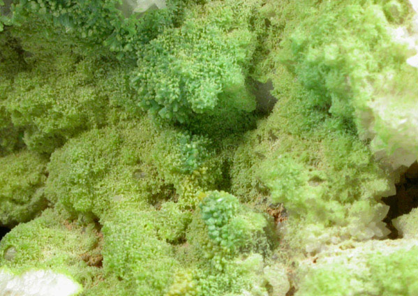 Pyromorphite on Quartz from Manhan Lead Mines, Loudville District, 3 km northwest of Easthampton, Hampshire County, Massachusetts