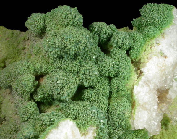 Pyromorphite on Quartz from Manhan Lead Mines, Loudville District, 3 km northwest of Easthampton, Hampshire County, Massachusetts