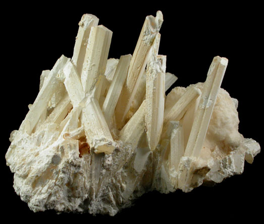 Gypsum variety Selenite from Gyp Cave, Clark County, Nevada