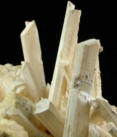 Gypsum variety Selenite from Gyp Cave, Clark County, Nevada