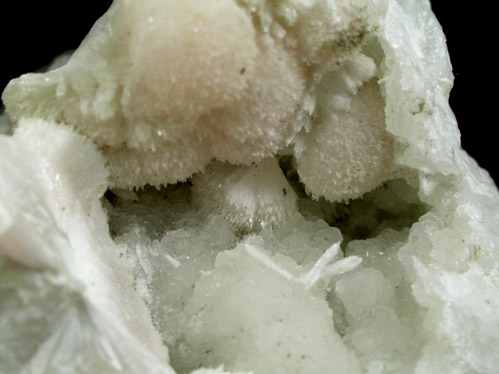 Pectolite on Datolite from Millington Quarry, Bernards Township, Somerset County, New Jersey