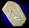 Orthoclase var. Carlsbad Twin from Gunheath Pit, St. Austell District, Cornwall, England