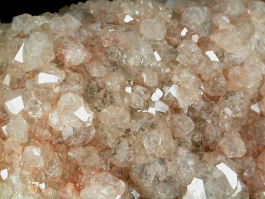 Analcime from Two Islands, east of Parrsboro, Nova Scotia, Canada