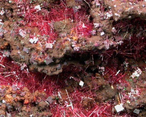 Cuprite with Malachite and Cuprite var. Chalcotrichite from Bisbee, Warren District, Cochise County, Arizona