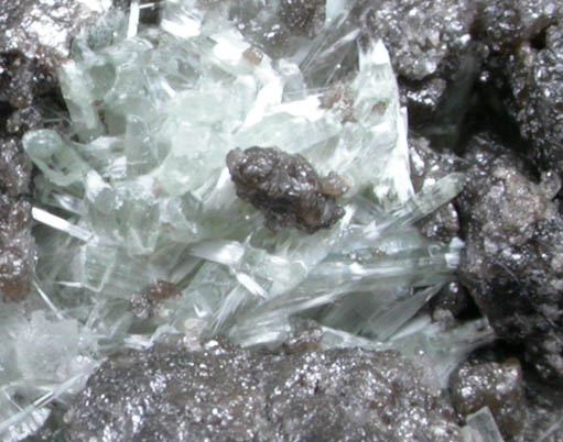 Titanite in Chrysotile from Hyatt Mine, Talcville, St. Lawrence County, New York