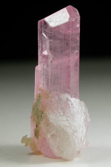 Elbaite var. Rubellite Tourmaline from Mawi Pegmatite, Nuristan Province, Afghanistan