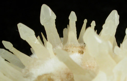 Calcite (scepter-shaped crystals) from Kalama, Cowlitz County, Washington