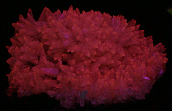 Calcite from Castelinho Mine, near Frederico Westphalen, Alto Uruguai, Rio Grande do Sul, Brazil