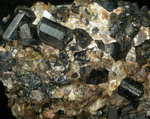 Schorl Tourmaline from Harvard Quarry, Noyes Mountain, Greenwood, Oxford County, Maine