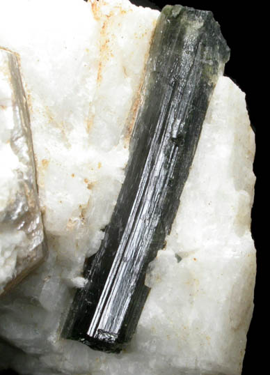 Elbaite Tourmaline in Albite with Muscovite mica from Strickland Quarry, Collins Hill, Portland, Middlesex County, Connecticut