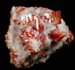 Vanadinite in Calcite from Old Yuma Mine, west of Tucson, Pima County, Arizona