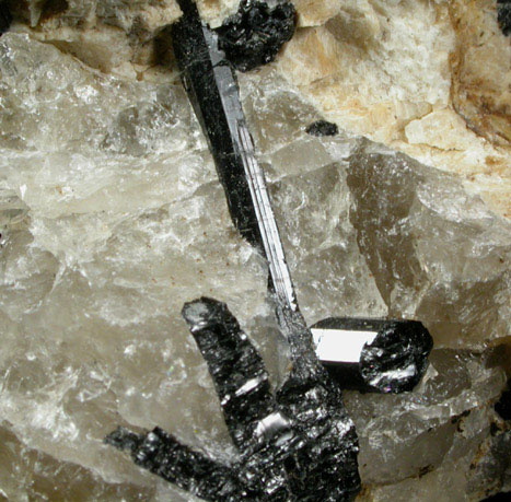 Schorl Tourmaline in Quartz-Albite from La Flamme Quarry, Minot, Androscoggin County, Maine