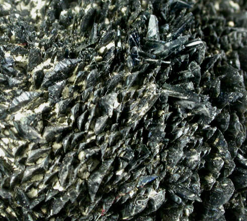 Vivianite from construction excavation, Richmond, 500 meters SE of Virginia State Capitol Square, Virginia