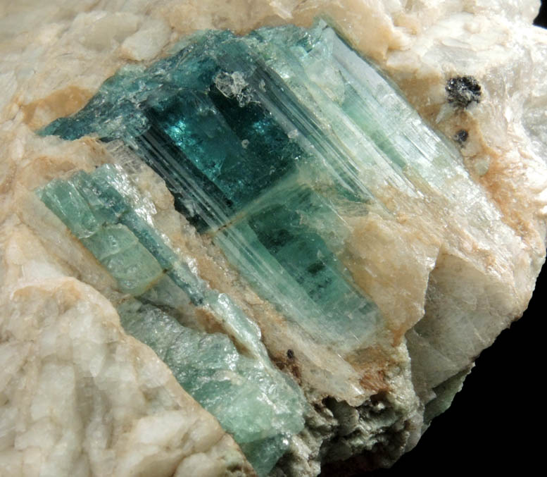 Elbaite var. Indicolite Tourmaline in Albite from Sao Jose da Batalha, Paraiba, Brazil