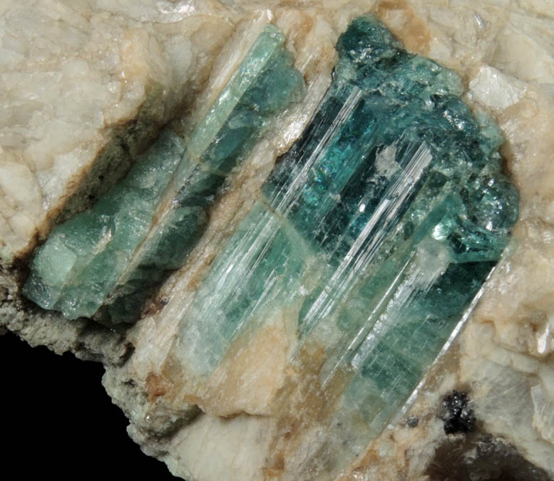 Elbaite var. Indicolite Tourmaline in Albite from Sao Jose da Batalha, Paraiba, Brazil