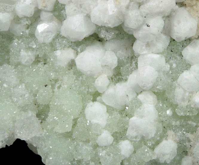 Analcime on Prehnite with Mesolite-Natrolite from Upper New Street Quarry, Paterson, Passaic County, New Jersey