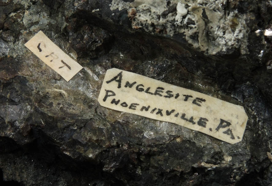 Anglesite on Sphalerite and Galena from Wheatley Mine, Phoenixville District, Chester County, Pennsylvania