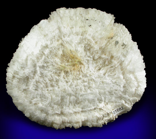 Brucite and Hydromagnesite, var. Lancasterite from Wood's Chrome Mine, State Line District, Lancaster County, Pennsylvania