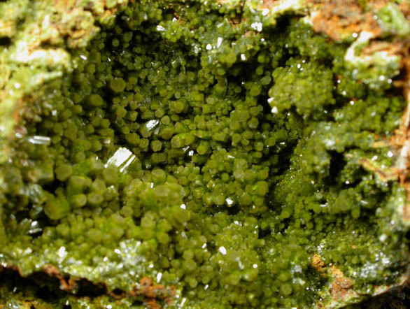 Pyromorphite from Perkiomen Mine, Montgomery County, Pennsylvania