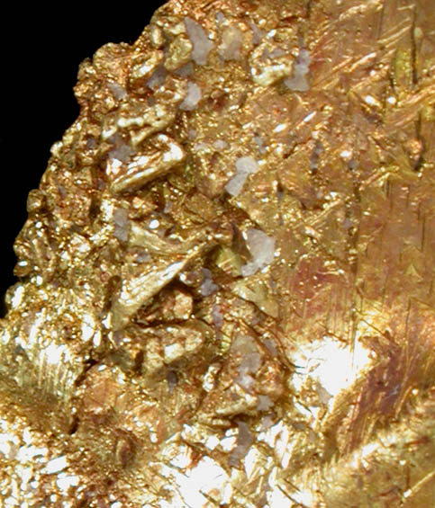 Gold from Rosia Montana (Vrspatak), Metaliferi Mountains, Transylvania, Romania