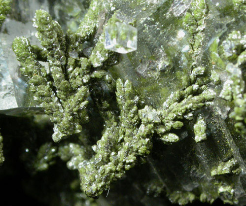 Mottramite on Calcite from Tsumeb Mine, Otavi-Bergland District, Oshikoto, Namibia