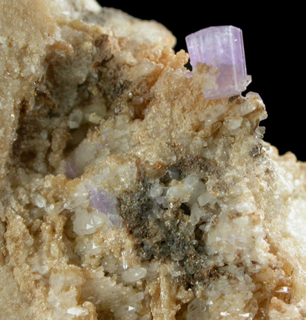 Fluorapatite on Cookeite, Quartz, Albite from Harvard Quarry, Noyes Mountain, Greenwood, Oxford County, Maine