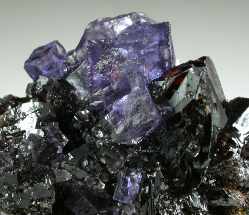 Fluorite on Sphalerite from Elmwood Mine, Carthage, Smith County, Tennessee