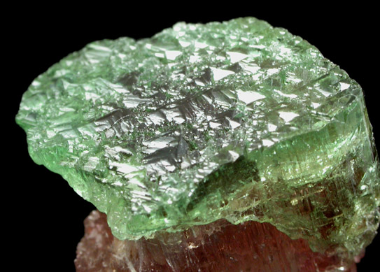 Elbaite Tourmaline from Barra do Salinas, Coronel Murta, Minas Gerais, Brazil