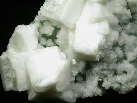 Hydroxyapophyllite-(K) (formerly apophyllite-(KOH)) on Prehnite from Virginia Trap Rock Quarry, southeast of Leesburg, Loudoun County, Virginia