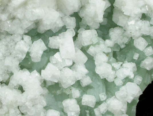 Hydroxyapophyllite-(K) (formerly apophyllite-(KOH)) on Prehnite from Virginia Trap Rock Quarry, southeast of Leesburg, Loudoun County, Virginia