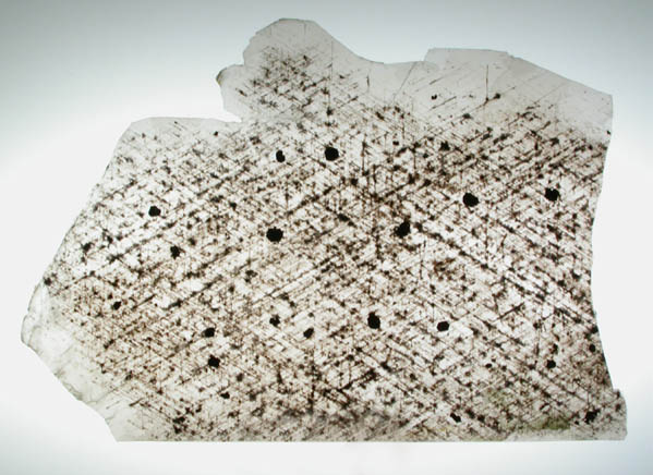 Muscovite with Magnetite inclusions (Graphic Mica) from Madras, India