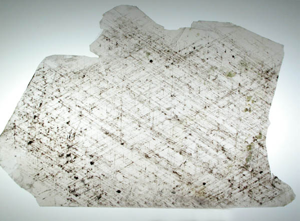 Muscovite with Magnetite inclusions (Graphic Mica) from Madras, India
