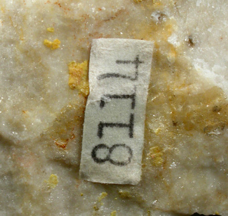 Wulfenite on Calcite from Bleiberg, Carinthia, Austria (Type Locality for Wulfenite)