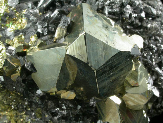 Pyrite and Enargite from Butte Mining District, Summit Valley, Silver Bow County, Montana