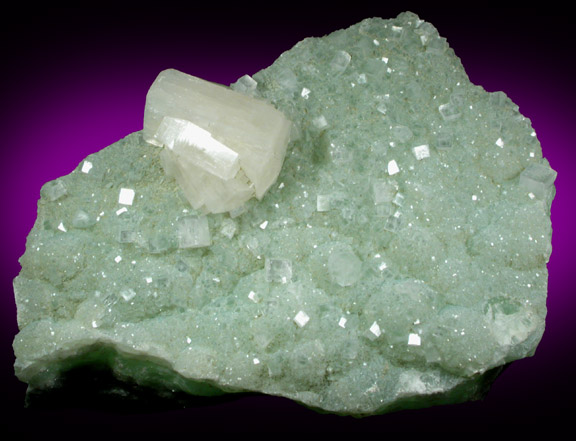 Hydroxyapophyllite-(K) (formerly apophyllite-(KOH)) on Prehnite from Fairfax Quarry, 6.4 km west of Centreville, Fairfax County, Virginia