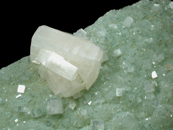 Hydroxyapophyllite-(K) (formerly apophyllite-(KOH)) on Prehnite from Fairfax Quarry, 6.4 km west of Centreville, Fairfax County, Virginia