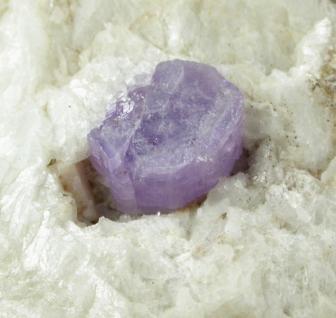 Fluorapatite on Albite from Harvard Quarry, Noyes Mountain, Greenwood, Oxford County, Maine