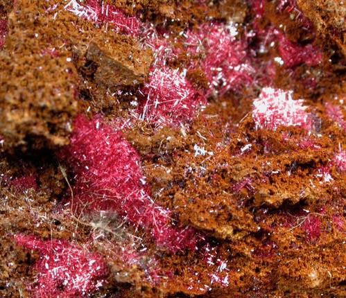 Cuprite var. Chalcotrichite from Bisbee, Warren District, Cochise County, Arizona