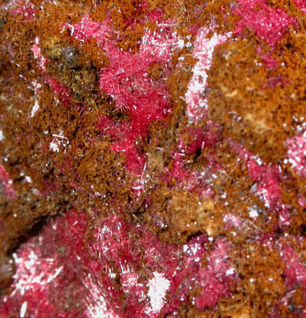 Cuprite var. Chalcotrichite from Bisbee, Warren District, Cochise County, Arizona