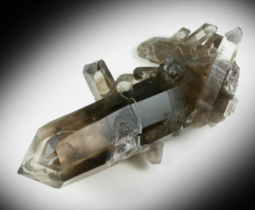 Quartz var. Smoky Quartz from Sierra Blanca, White Mountain Wilderness, Lincoln County, New Mexico