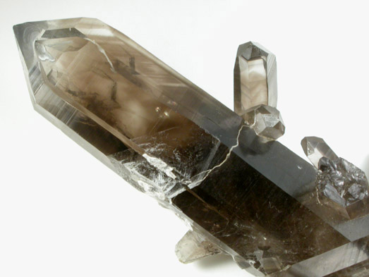 Quartz var. Smoky Quartz from Sierra Blanca, White Mountain Wilderness, Lincoln County, New Mexico