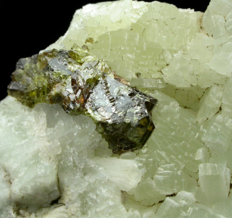 Sphalerite in Prehnite from Millington Quarry, Bernards Township, Somerset County, New Jersey