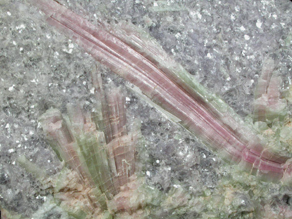 Elbaite Tourmaline in Lepidolite from Mount Marie Quarry, Paris, Oxford County, Maine